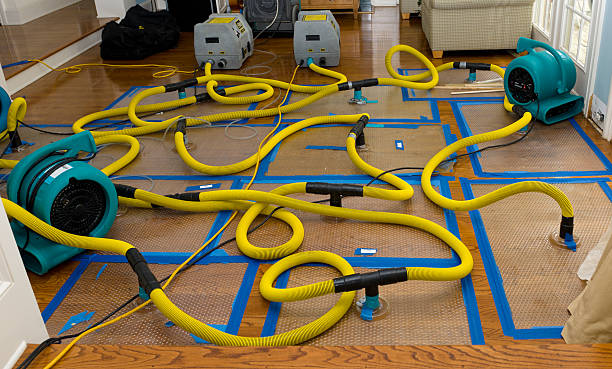 Professional Water Damage Repair technician working in Corona, CA